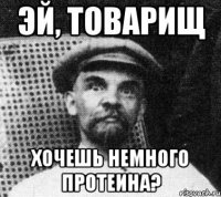 эй, товарищ хочешь немного протеина?