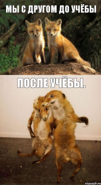 мы с другом до учёбы после учёбы.