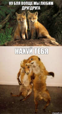 Ну Бля Вопще Мы Любим Другдруга Нахуй Тебя