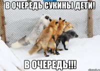 в очередь сукины дети! в очередь!!!