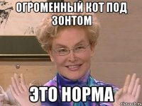 огроменный кот под зонтом это норма