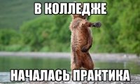 в колледже началась практика