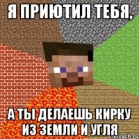 я приютил тебя, а ты делаешь кирку из земли и угля