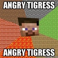 angry tigress angry tigress