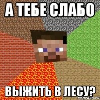 а тебе слабо выжить в лесу?