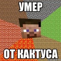 умер от кактуса