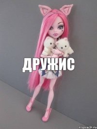 дружис