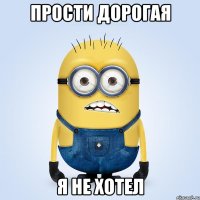 прости дорогая я не хотел