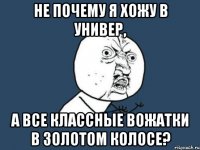 не почему я хожу в универ, а все классные вожатки в золотом колосе?