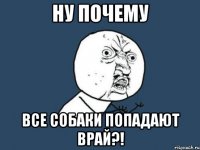 ну почему все собаки попадают врай?!