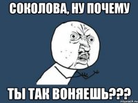 соколова, ну почему ты так воняешь???