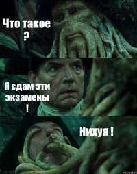 Что такое ? Я сдам эти экзамены ! Нихуя !