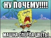 ну почему!!! машка спёрла цветы