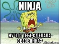 ninja ну что тебе сделала обезьянка?