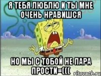 я тебя люблю и ты мне очень нравишся но мы с тобой не пара прости=(((