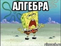 алгебра 