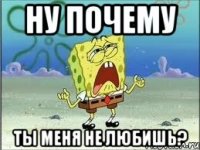 ну почему ты меня не любишь?