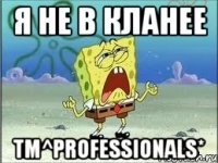 я не в кланее tm^professionals*