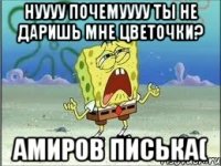 нуууу почемуууу ты не даришь мне цветочки? амиров писька(