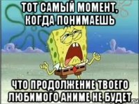 тот самый момент, когда понимаешь что продолжение твоего любимого аниме не будет