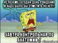 ну почему сегодня день рождения и надо было бы отметить но нет!!! завтра контрольная по анатомии ;(