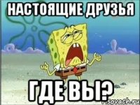 настоящие друзья где вы?