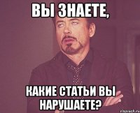 вы знаете, какие статьи вы нарушаете?