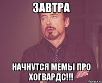 завтра начнутся мемы про хогвардс!!!