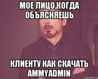 мое лицо,когда объясняешь клиенту как скачать ammyadmin