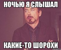 ночью я слышал какие-то шорохи