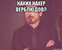 каких нахер верблюдов? 