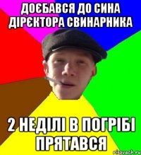 доєбався до сина дірєктора свинарника 2 неділі в погрібі прятався