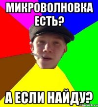 микроволновка есть? а если найду?