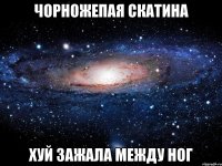 чорножепая скатина хуй зажала между ног