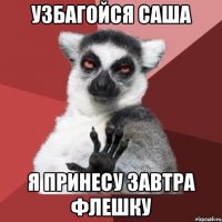 узбагойся саша я принесу завтра флешку