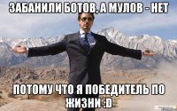 забанили ботов, а мулов - нет потому что я победитель по жизни :d