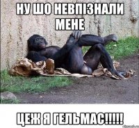 ну шо невпізнали мене цеж я гельмас!!!