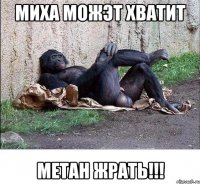 миха можэт хватит метан жрать!!!