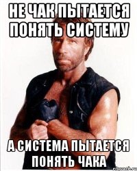 не чак пытается понять систему а система пытается понять чака