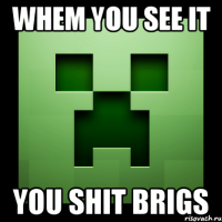 whem you see it you shit brigs