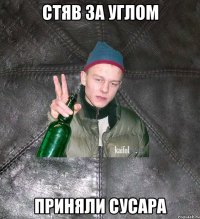 стяв за углом приняли сусара