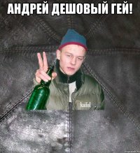 андрей дешовый гей! 