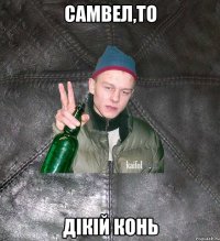 самвел,то дiкiй конь