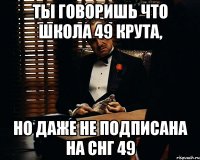 ты говоришь что школа 49 крута, но даже не подписана на снг 49