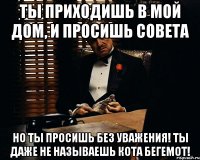 ты приходишь в мой дом, и просишь совета но ты просишь без уважения! ты даже не называешь кота бегемот!