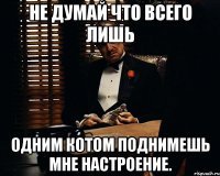 не думай что всего лишь одним котом поднимешь мне настроение.