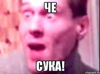 че сука!