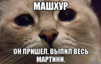 машхур он пришел, выпил весь мартини,