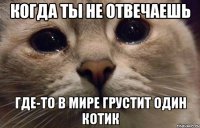 когда ты не отвечаешь где-то в мире грустит один котик