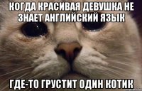 когда красивая девушка не знает английский язык где-то грустит один котик